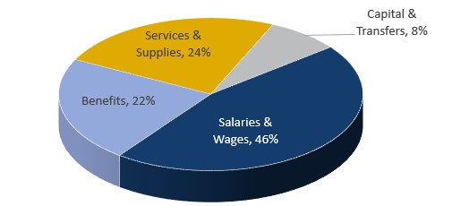 2024-2025 Expenditures by Function