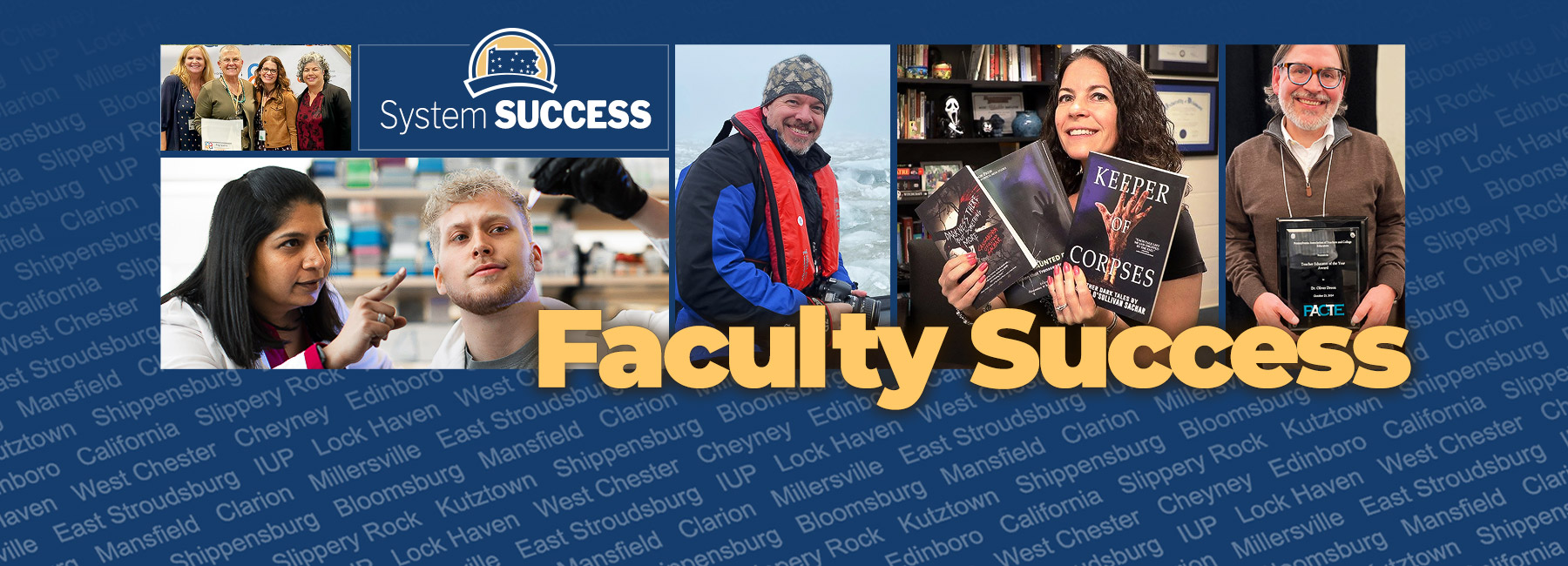 Faculty - System Success banner